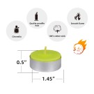 Lime Green Citronella Tealight Candles (1200pcs/Case) Bulk