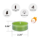Mega Oversized Sage Green Tealights (12pc/Box)