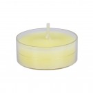 Ivory Tealight Candles (600pcs/Case) Bulk