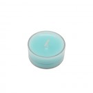 Turquoise Blue Tealight Candles (50pcs/Pack)