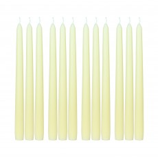 10 Inch Ivory Taper Candles (1 Dozen)