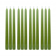 10 Inch Sage Green Taper Candles (144pcs/Case) Bulk
