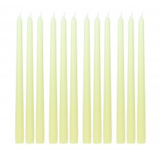 12 Inch Ivory Taper Candles (1 Dozen)