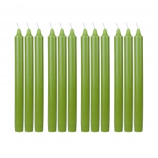 10 Inch Sage Green Straight Taper Candles (1 Dozen)