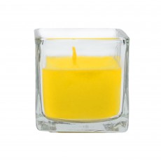 Yellow Citronella Square Glass Votive Candles (12pc/Box)