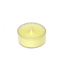 Ivory Tealight Candles (600pcs/Case) Bulk